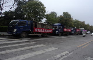 漁業增殖促生態，畜牧水產譜新篇——江西修水縣開展資源放流活動助力產業發展